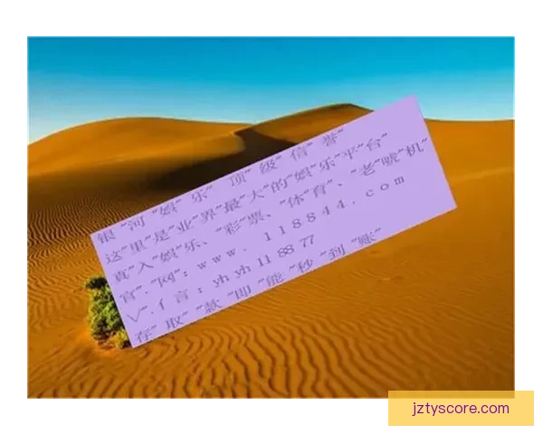 世界杯竞猜策略分析与热门赛果预测指南 提升你的胜算